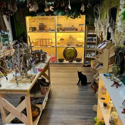 holistic house