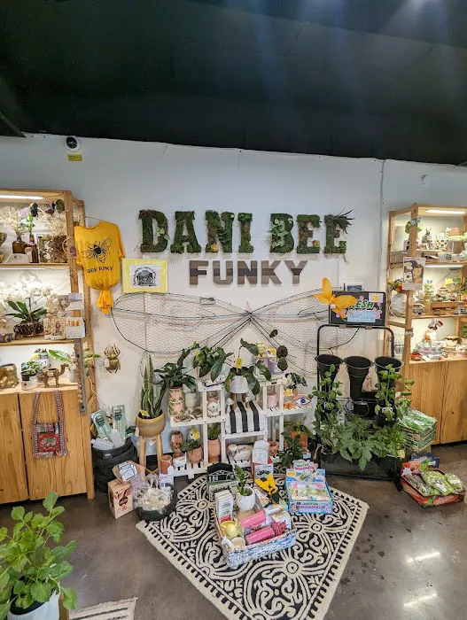 Dani Bee Funky 1