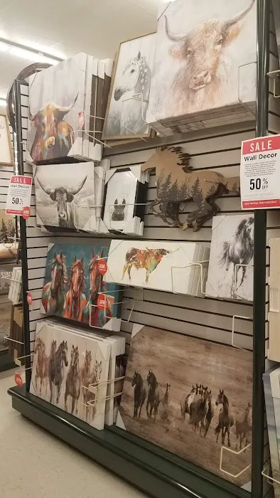 Hobby Lobby 6