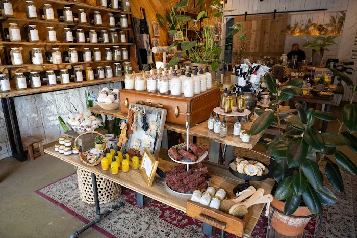 Terra Apothecary 3