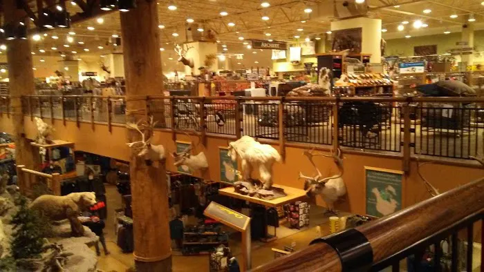 Cabela's 9