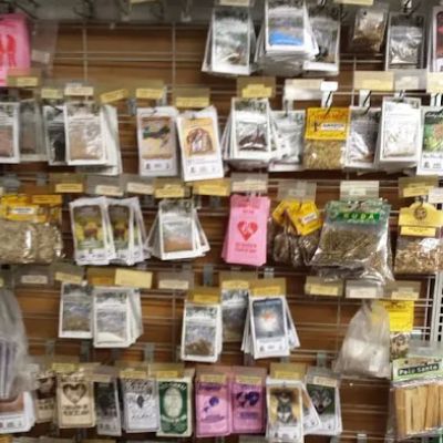 Sacred Traditions, Inc.