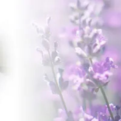 Armani's Aromas