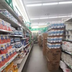 Dollar Tree ico