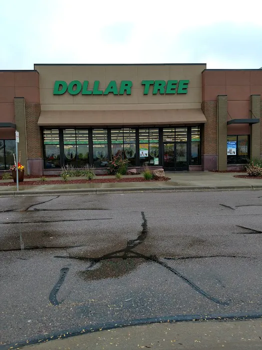 Dollar Tree 6