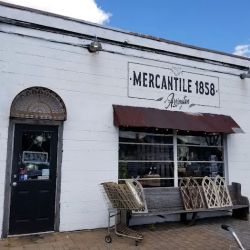 Mercantile 1858 ico