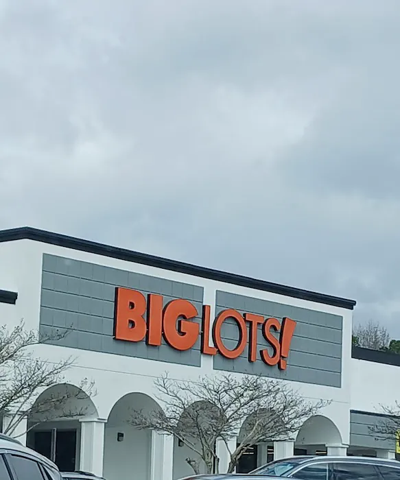 Big Lots 7