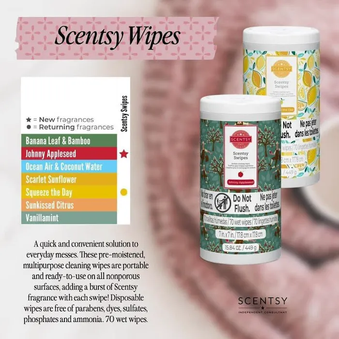 Paula Brown Independent Scentsy consultant 2