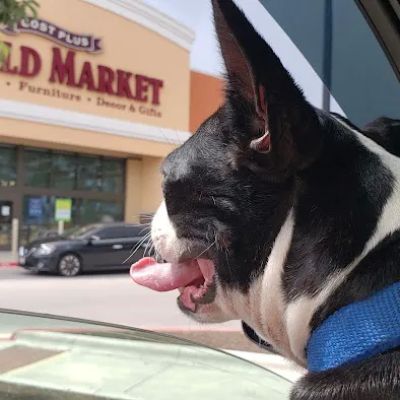 World Market
