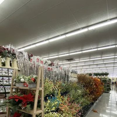 Hobby Lobby