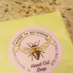 Mandy the Bee Charmer, LLC ico