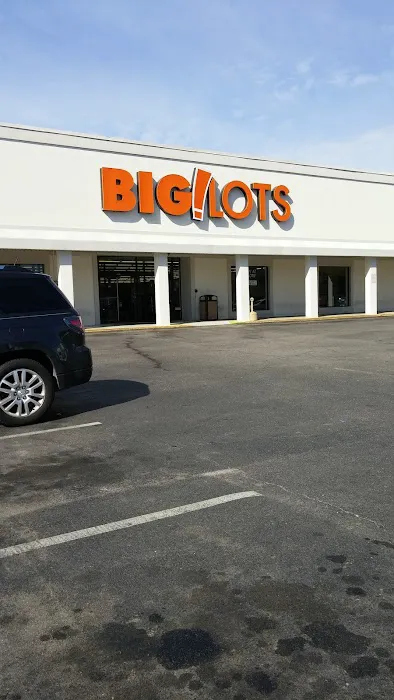 Big Lots 8