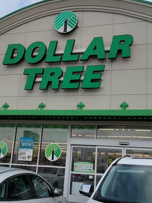 Dollar Tree 1