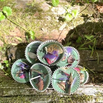 Crackling Pine Candles