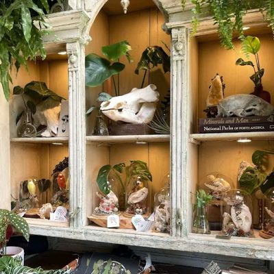 The Terrorium Shop