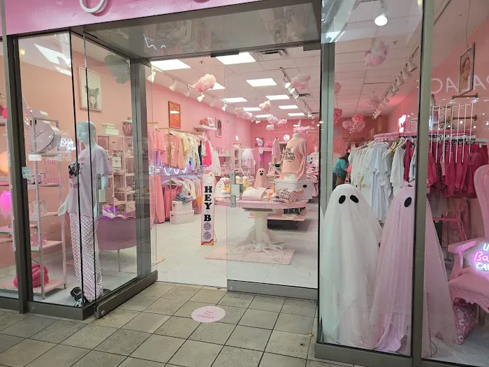 The Pink Closet Company 1