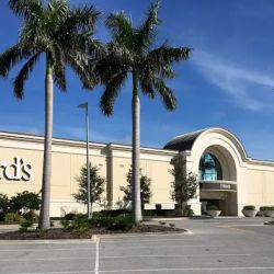 Dillard's ico