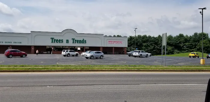 Trees n Trends - Bowling Green, KY 0