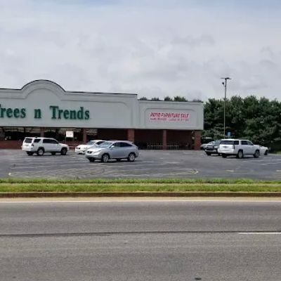 Trees n Trends - Bowling Green, KY