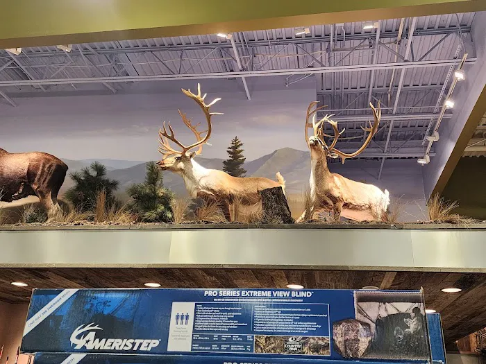 Cabela's 7