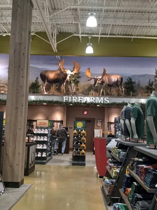 Cabela's 1