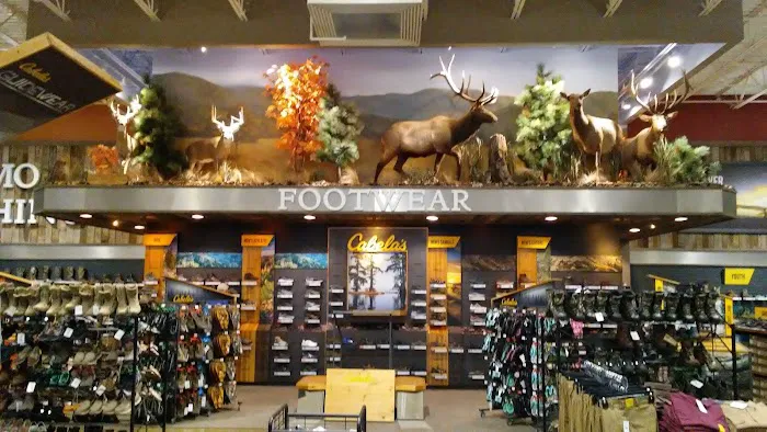 Cabela's 6