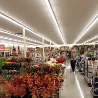 Hobby Lobby