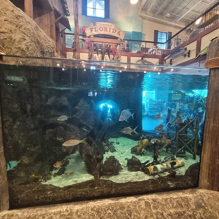 Bass Pro Shops 5