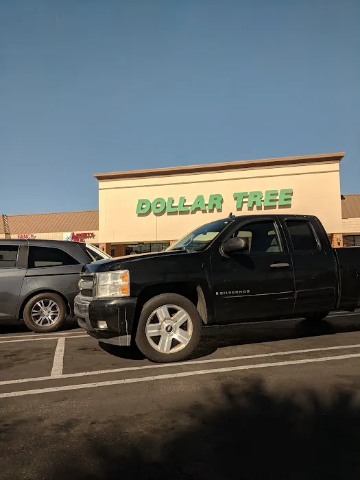 Dollar Tree 2