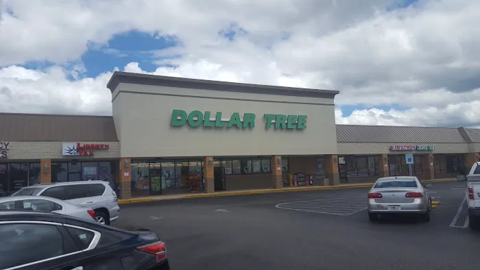 Dollar Tree 1