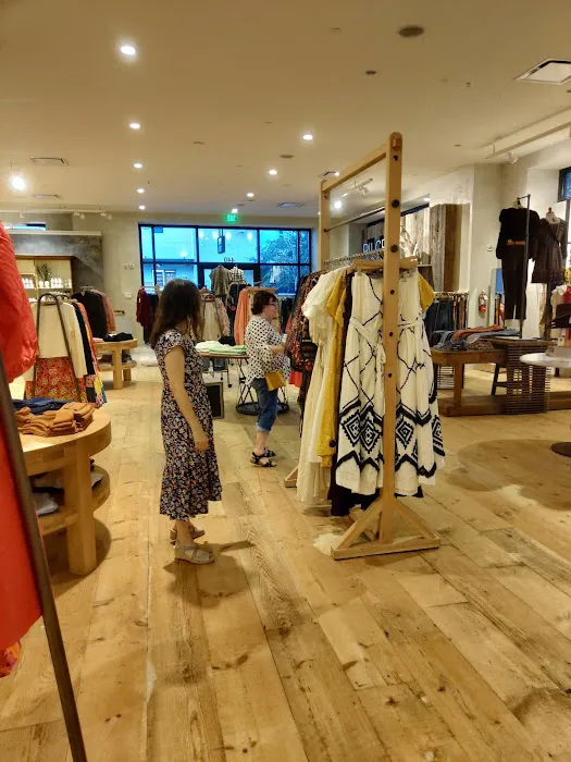 Anthropologie 4