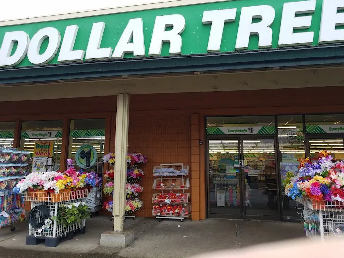 Dollar Tree 6