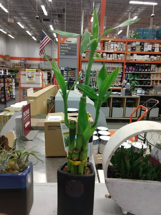 The Home Depot 2