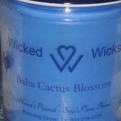 Wicked Wicks Candles ico