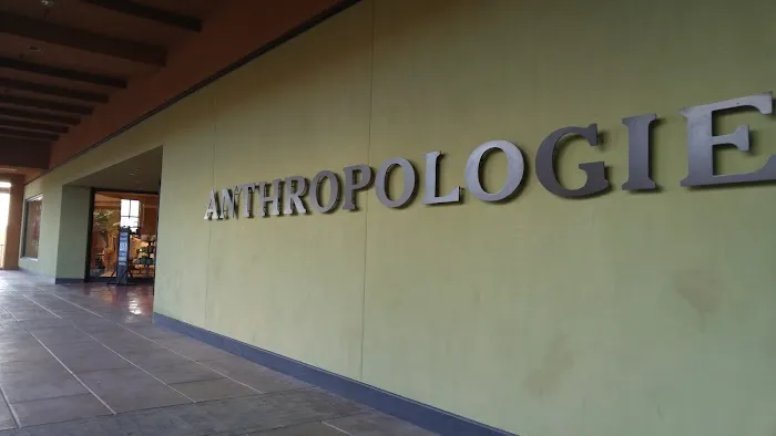 Anthropologie 8