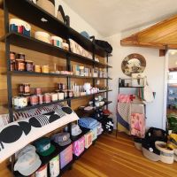 LIMINAL GIFT + GREENERY