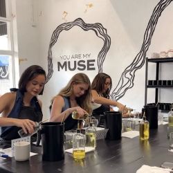 MUSE Candle Studio ico