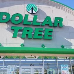 Dollar Tree ico