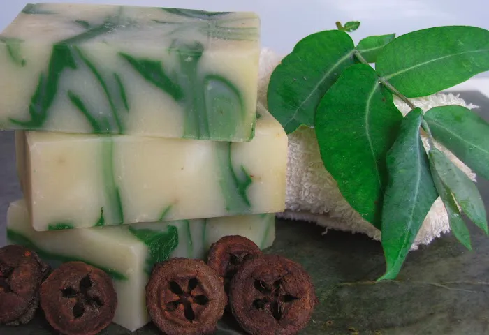 Wild Handmade Soap Factory & Outlet 5