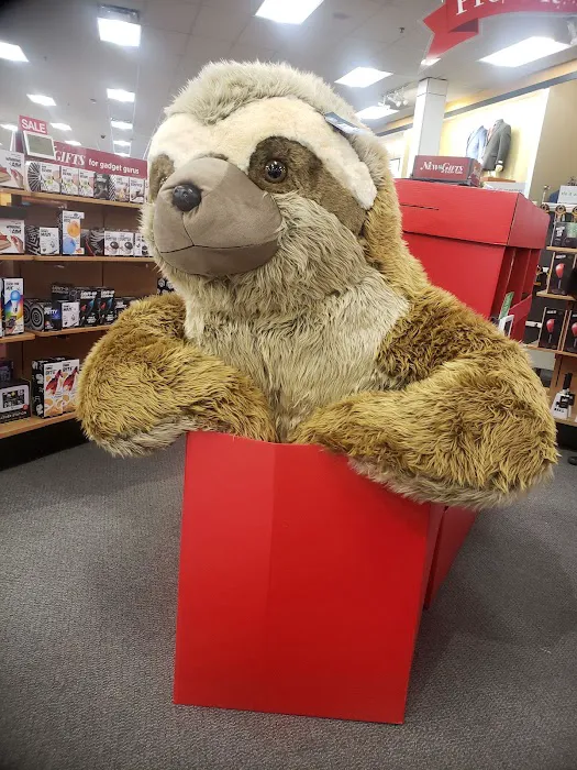 Kohl's 7
