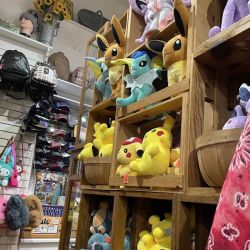 Monterey General Store ico