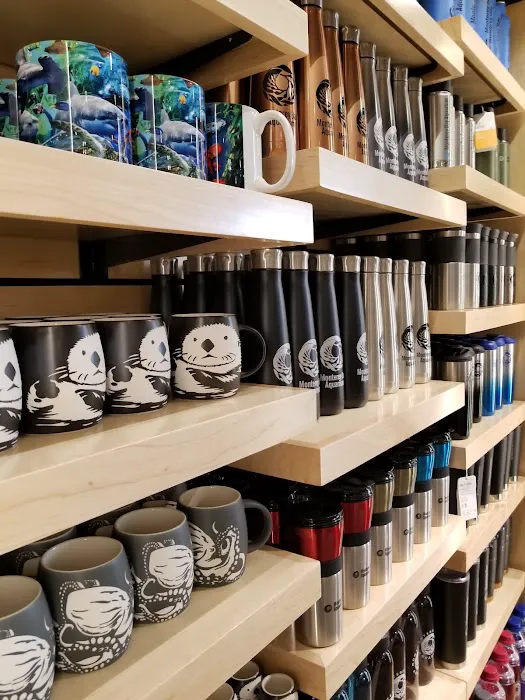 Gift and Book Store 8