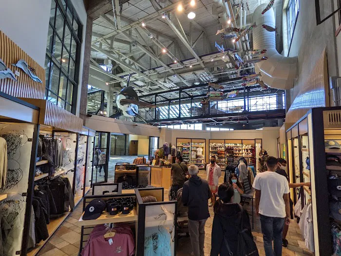 Gift and Book Store 0