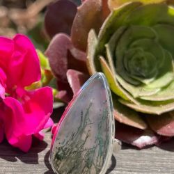 Untamed Fire: Metaphysical & Crystal Shop ico