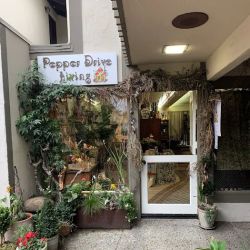 Pepper Drive Living ico