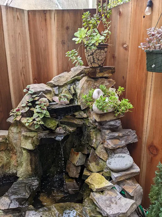 Pilgrims Way Community Bookstore and Secret Garden 1