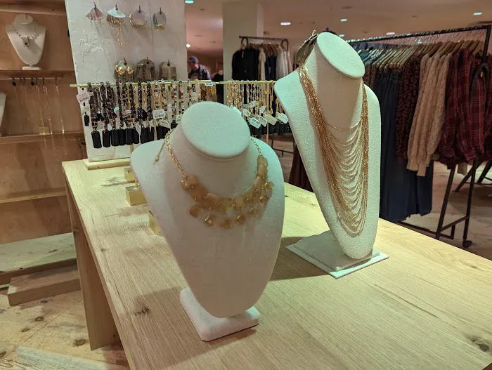 Anthropologie 2