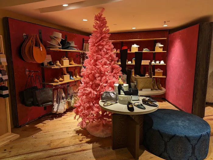 Anthropologie 1