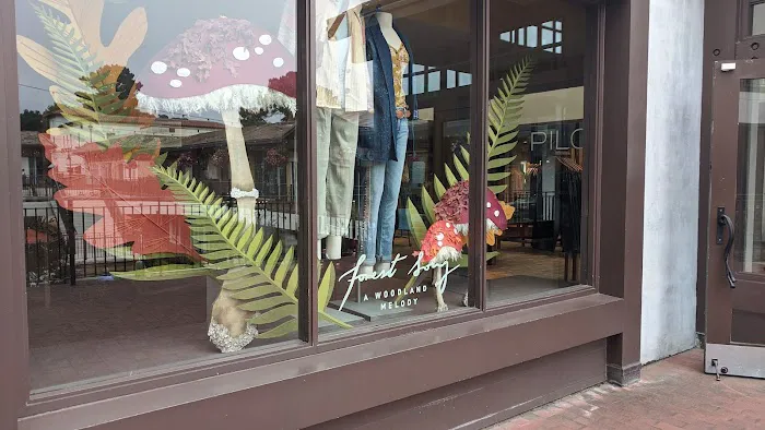 Anthropologie 6