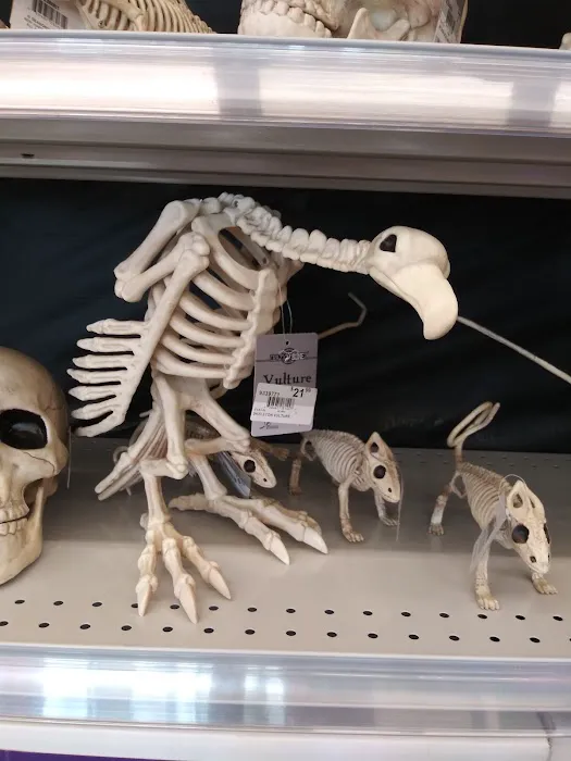 Hollister Ace Hardware 6